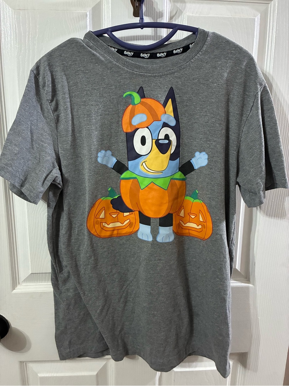 Adult Small Bluey Halloween T-Shirt